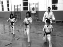 Dojo 2013-49